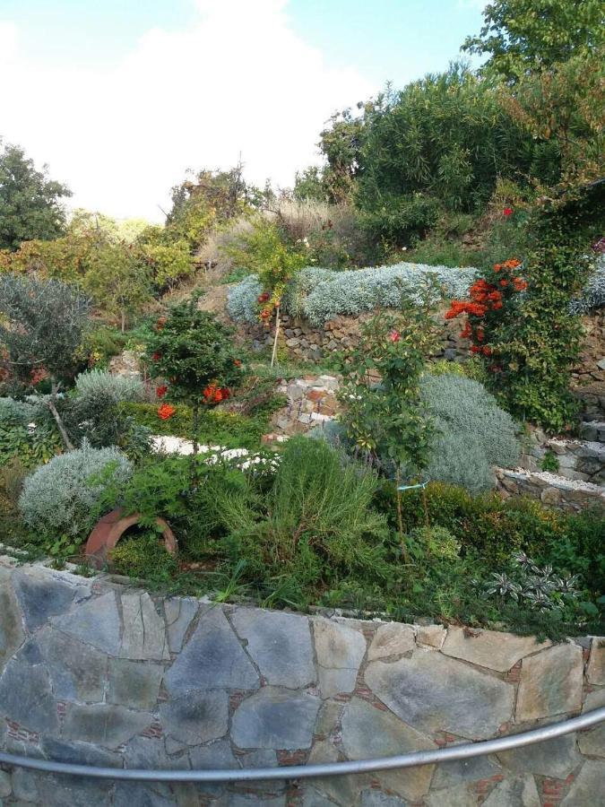 Rodous Village House Limassol Ngoại thất bức ảnh